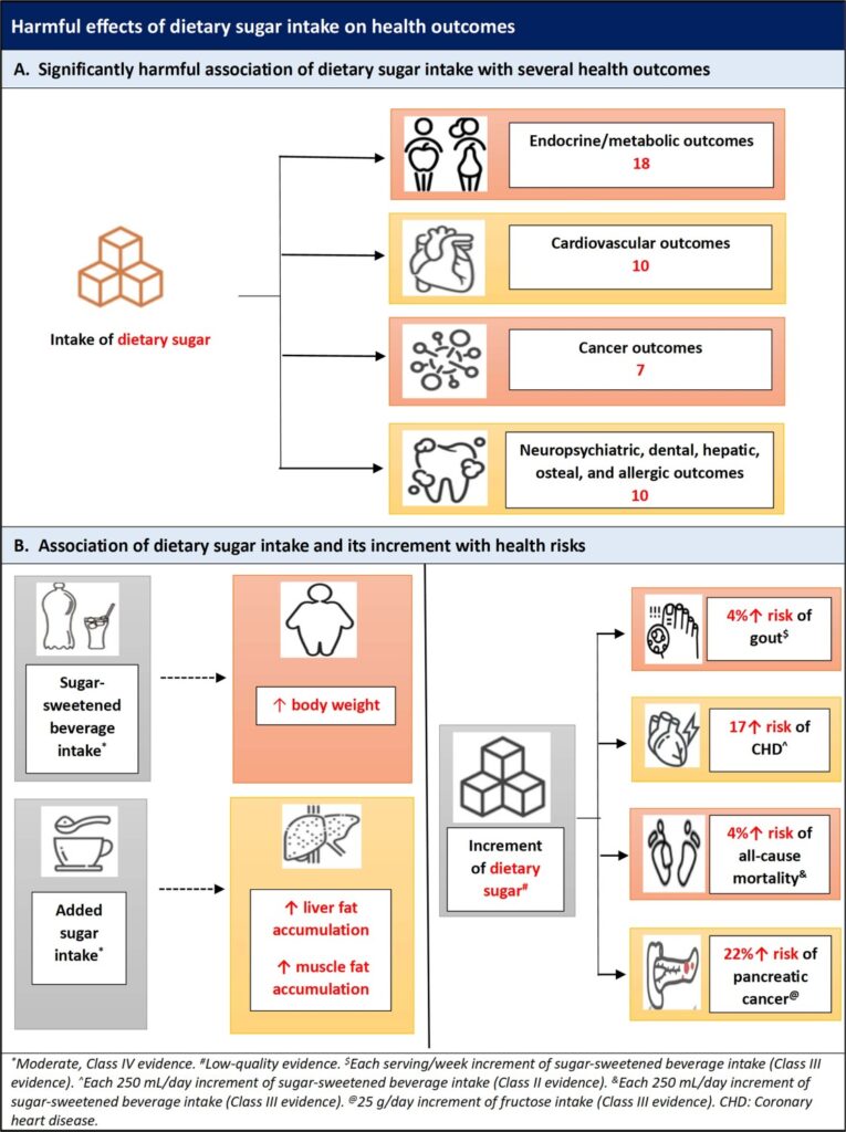 1683288030375 765x1024