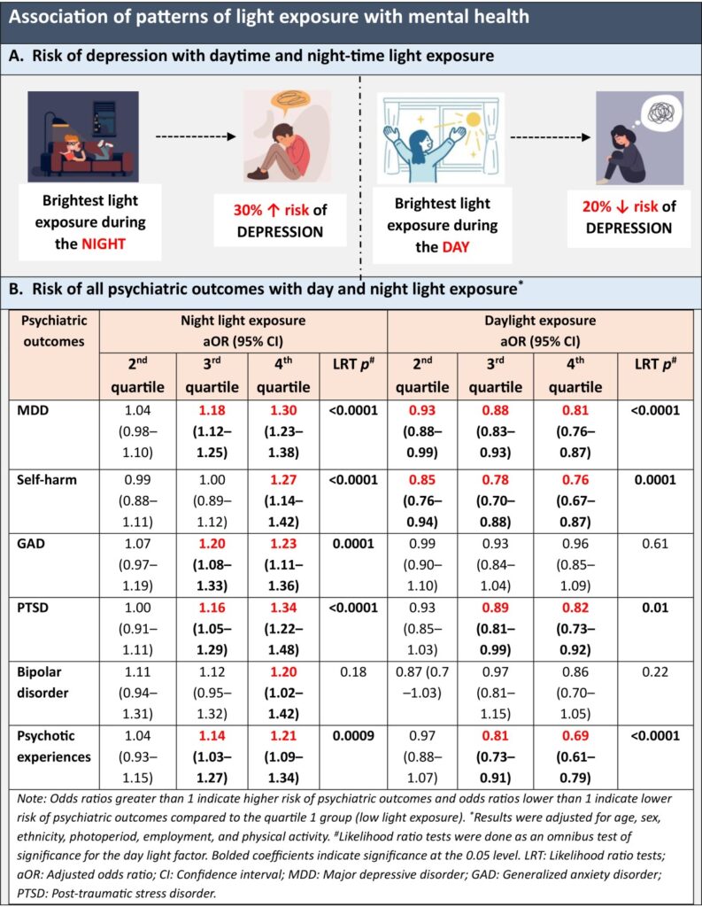 1698390647101 793x1024