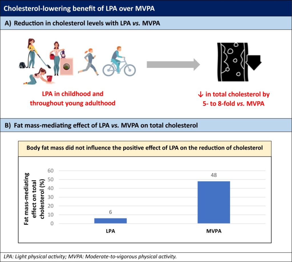 1703221495017 1024x920